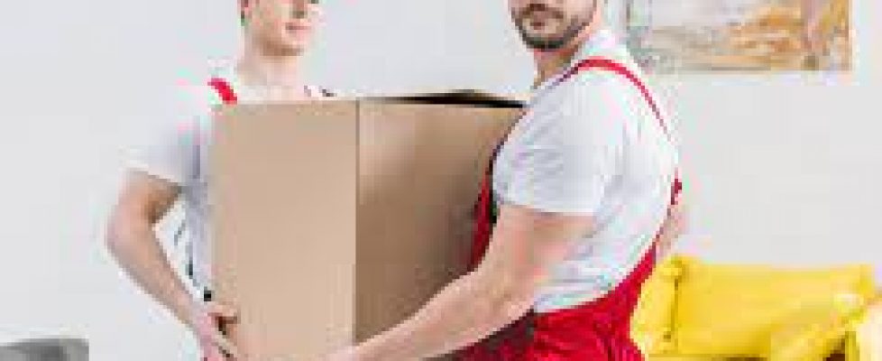 download removalists